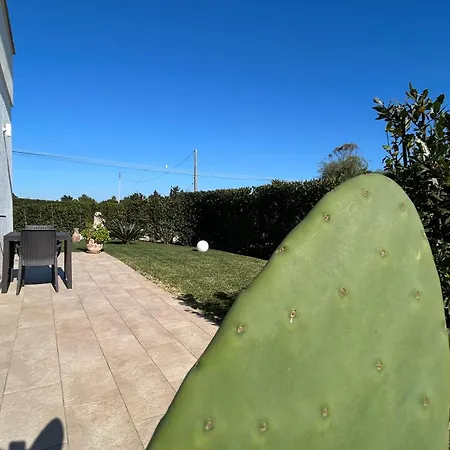 Paluna ゲストハウス