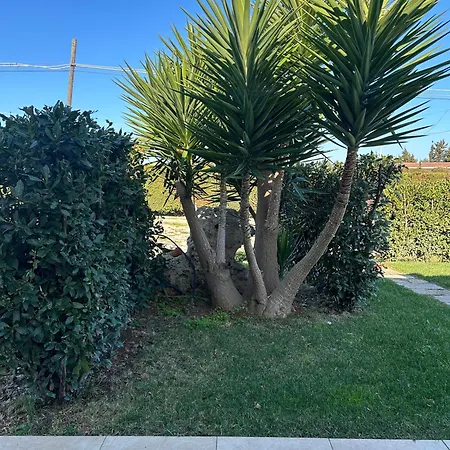 Paluna ゲストハウス 3*