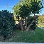 Paluna Πανσιόν 3*