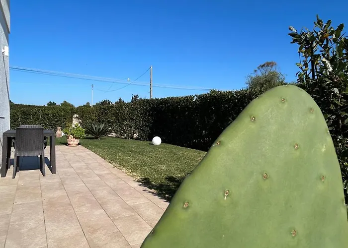 Paluna בית הארחה