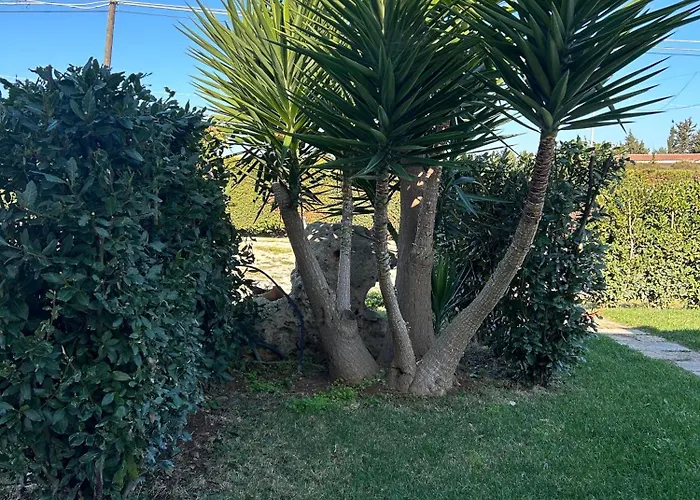 Paluna בית הארחה 3*