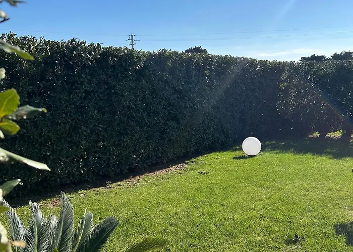 בית הארחה Paluna 3*